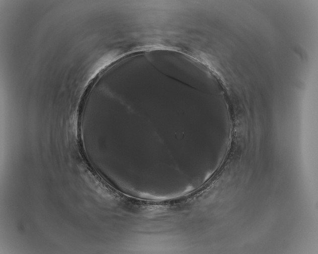 X0000112071173200908251036