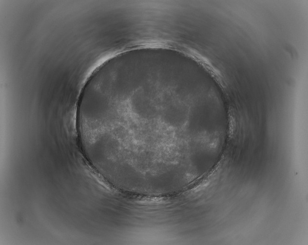 X0000112071174200908251036