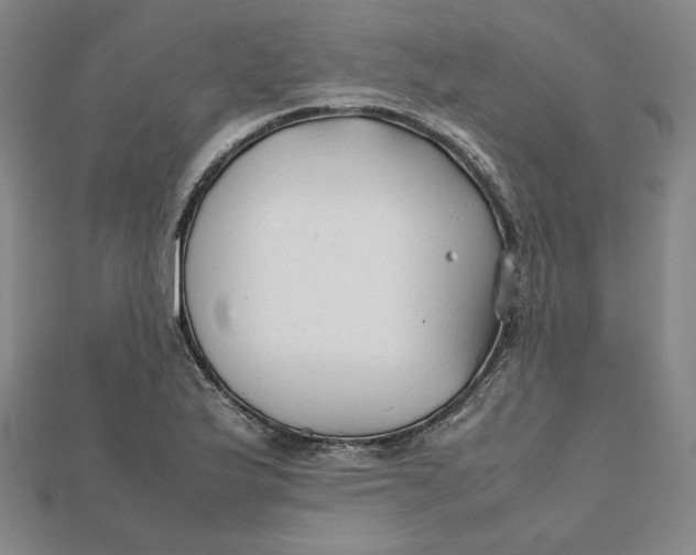X0000112071175200908251036