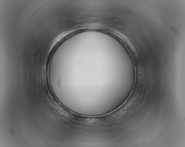 X0000112071176200908251036
