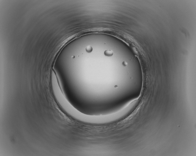 X0000112071177200908251036