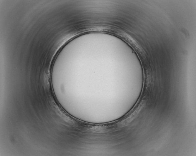 X0000112071178200908251036