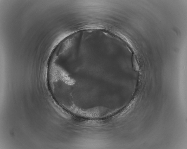 X0000112071179200908251036