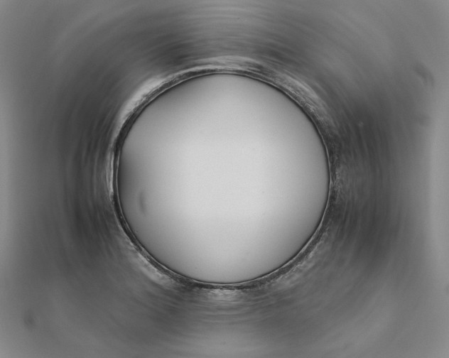 X0000112071180200908251036