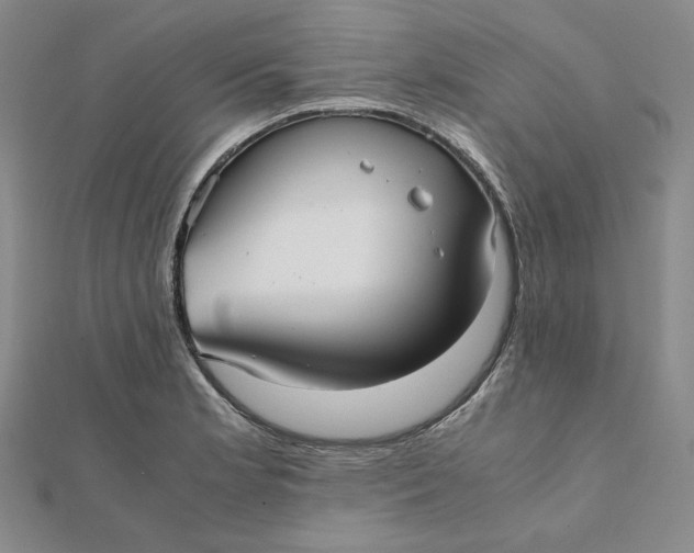 X0000112071181200908251036