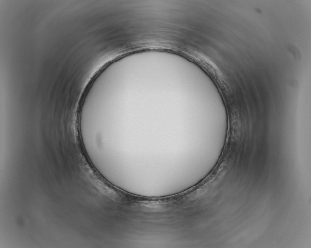 X0000112071182200908251036