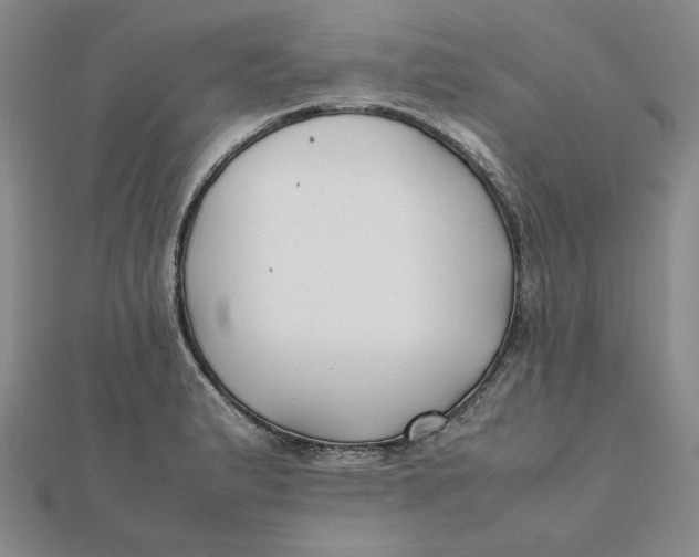 X0000112071183200908251036
