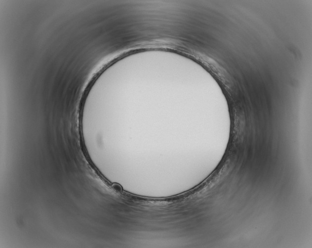 X0000112071184200908251036