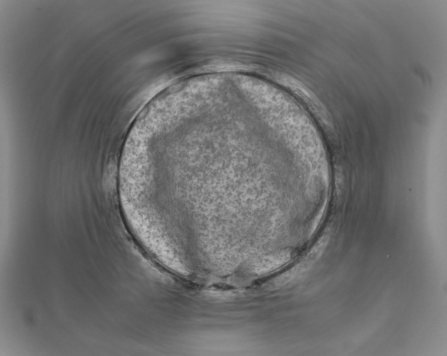 X0000112071185200908251036