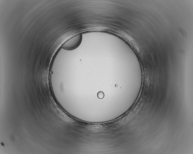X0000112071186200908251036