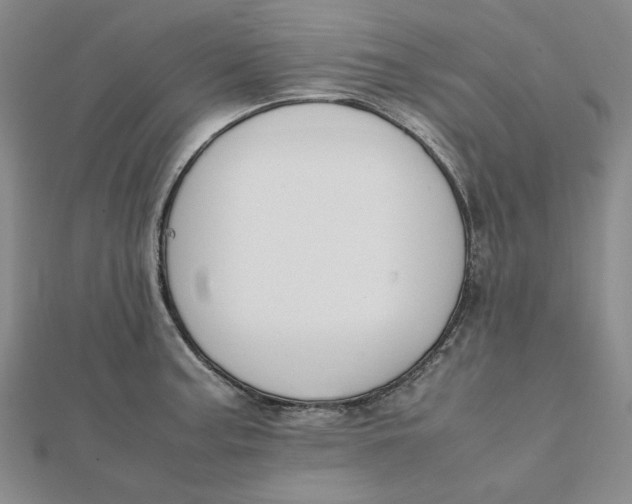 X0000112071187200908251036