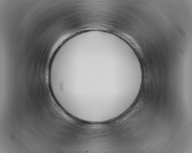X0000112071188200908251036