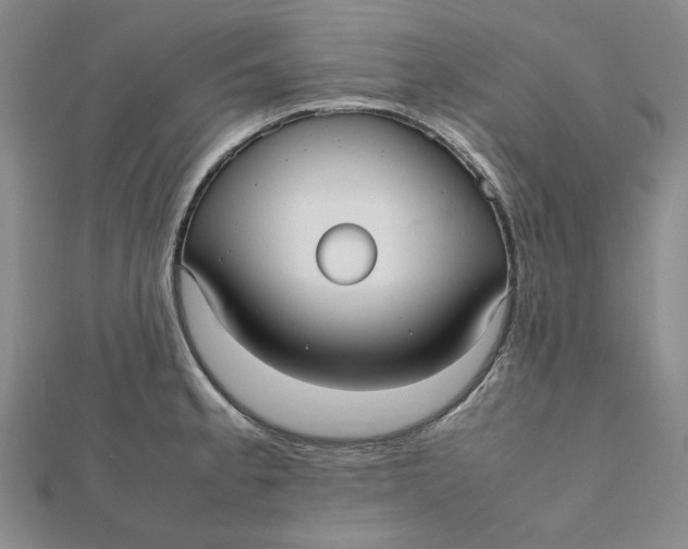 X0000112071189200908251036