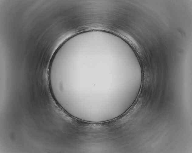 X0000112071190200908251036