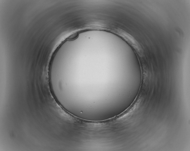 X0000112071192200908251036