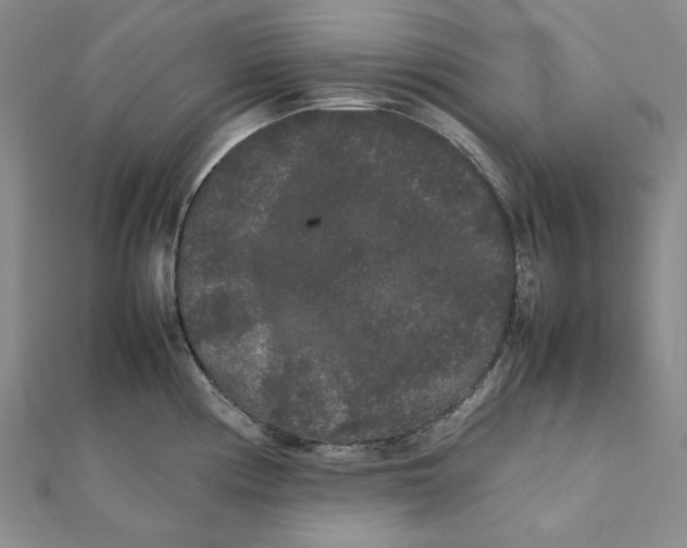 X0000112071194200908251036