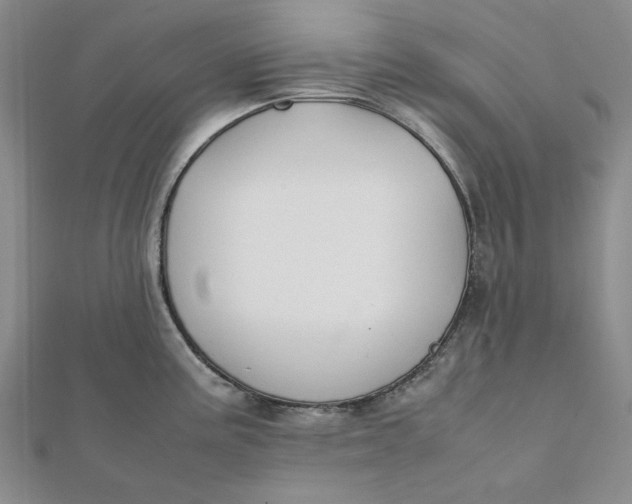 X0000112071195200908251036