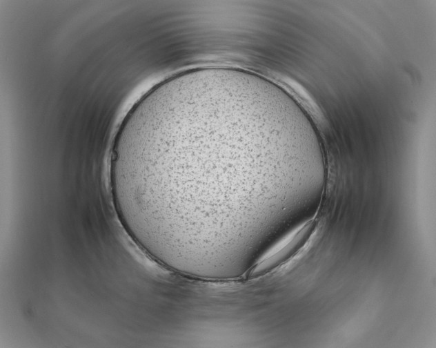 X0000112071196200908251036