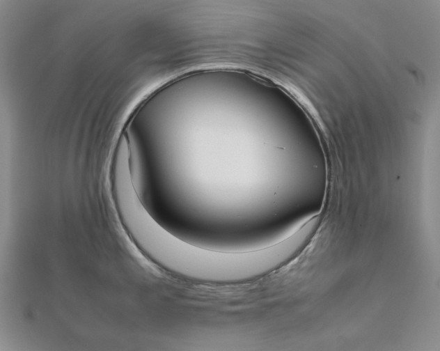 X0000112071197200908251036