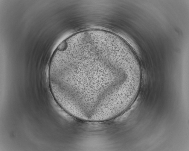 X0000112071198200908251036