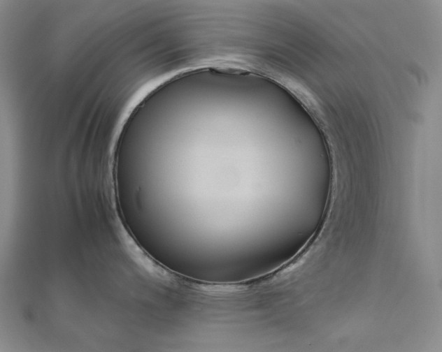 X0000112071200200908251036
