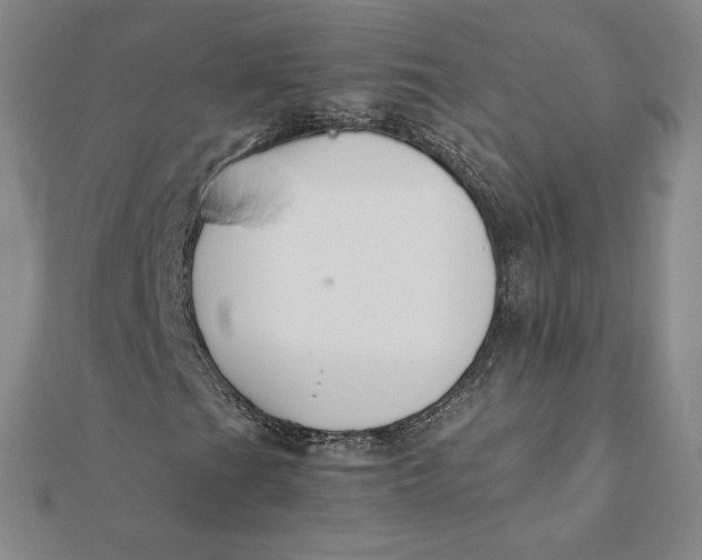 X0000112071201200908251035