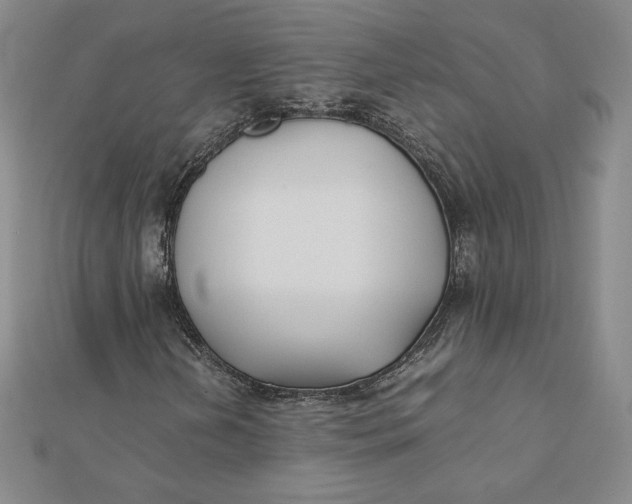 X0000112071202200908251035