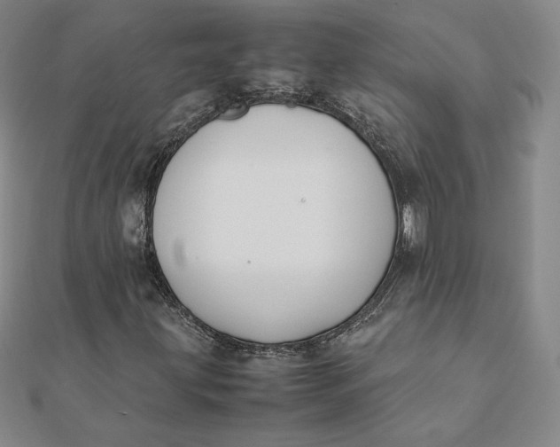 X0000112071203200908251035
