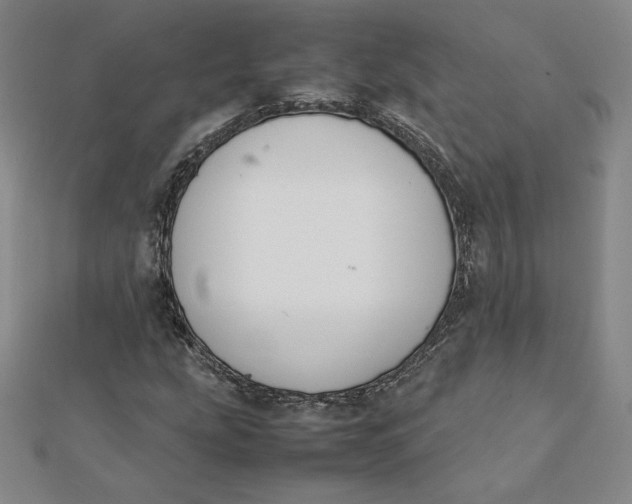 X0000112071207200908251035