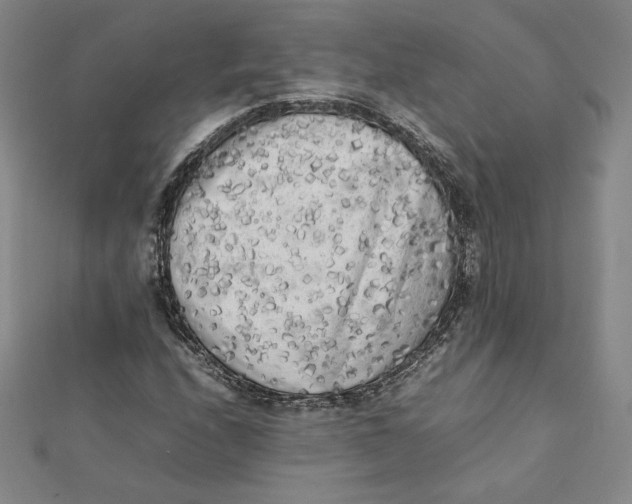 X0000112071208200908251035