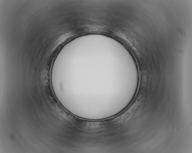 X0000112071211200908251035