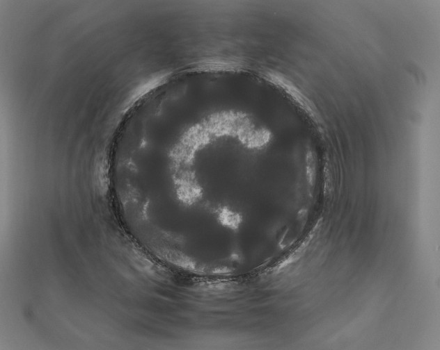X0000112071213200908251035