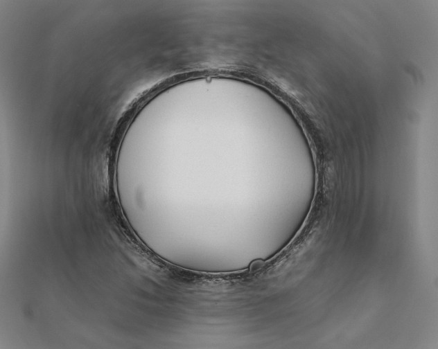 X0000112071214200908251035