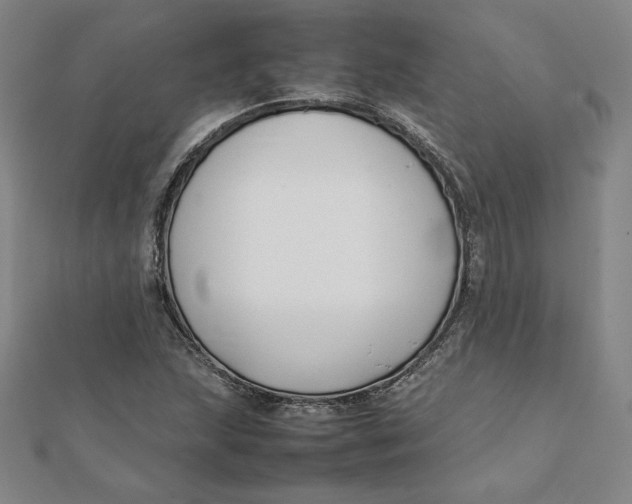 X0000112071215200908251035
