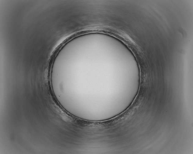 X0000112071216200908251035