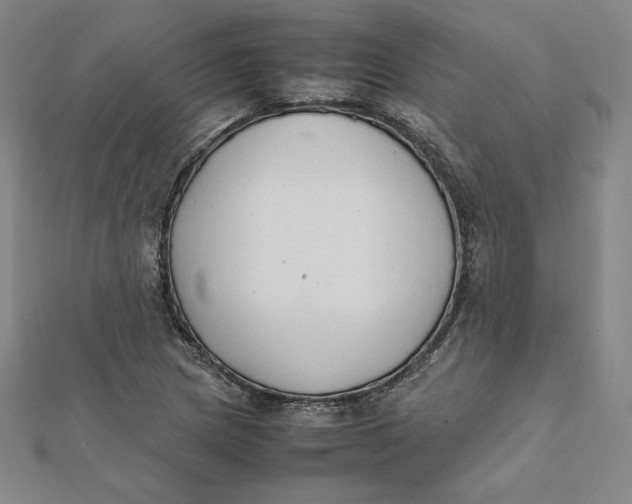 X0000112071217200908251035