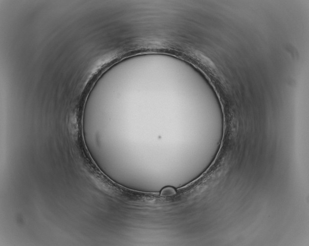 X0000112071218200908251035