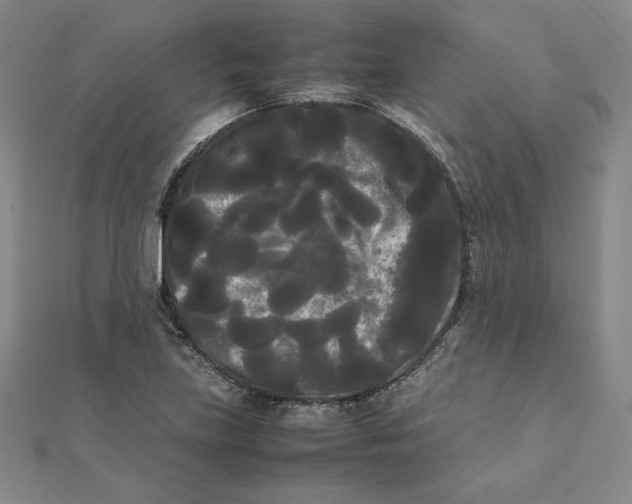 X0000112071219200908251035