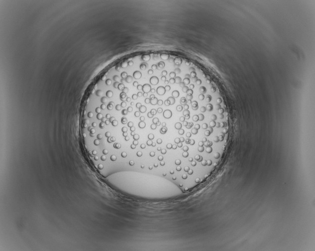X0000112071220200908251035