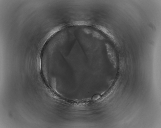 X0000112071221200908251035