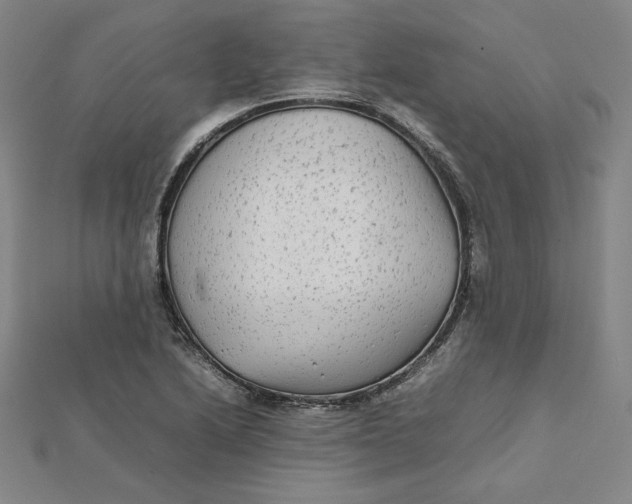 X0000112071222200908251035