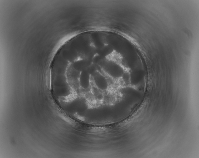 X0000112071223200908251035