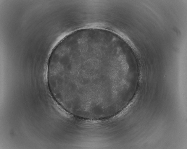 X0000112071224200908251035