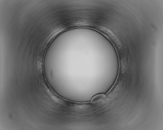 X0000112071225200908251035