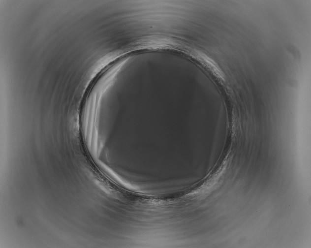 X0000112071226200908251035