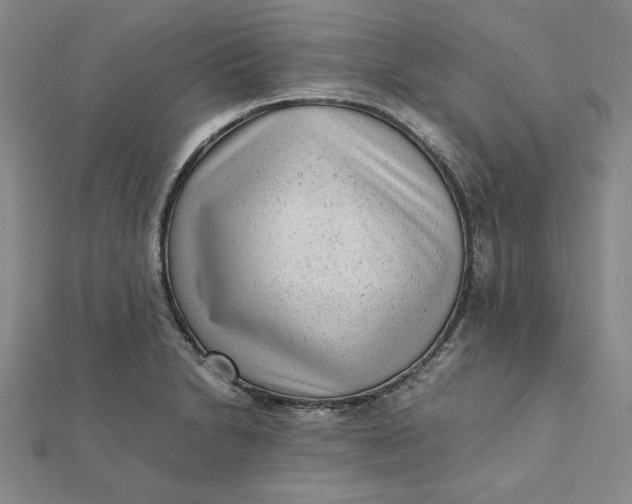 X0000112071230200908251036