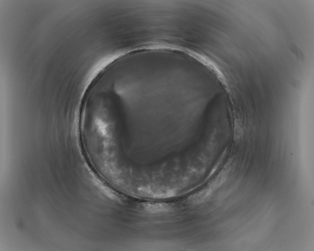 X0000112071231200908251036