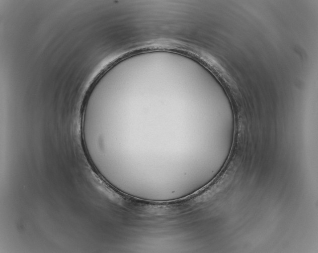 X0000112071232200908251036