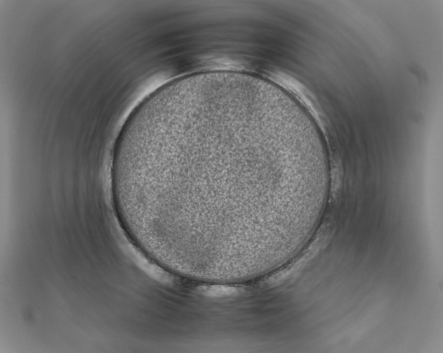 X0000112071235200908251036