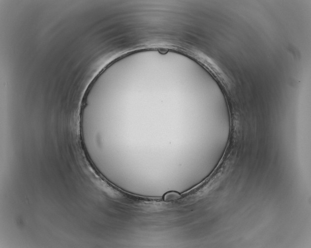 X0000112071236200908251036